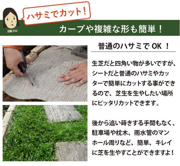貼るだけ！ 芝生シート（8セット） 5m×16ロール 天然芝 西洋芝 80平方m