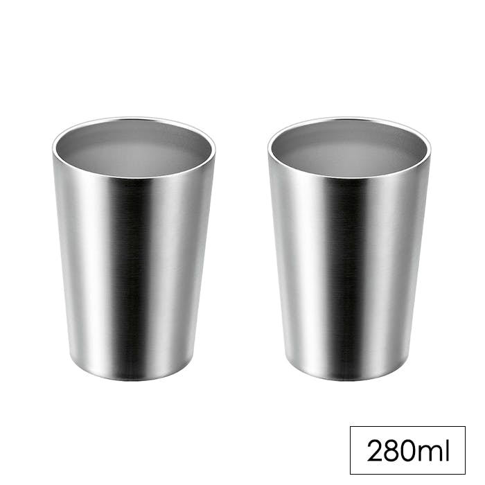 タンブラー 280ml 2個組 ステンレス 二重構造 保冷 保温 シンプル