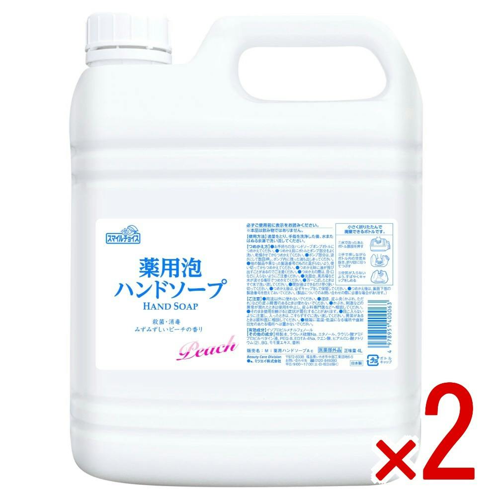 スマイルチョイス薬用泡ハンドソープ × 2点 【送料込み】 ＃4978951400063