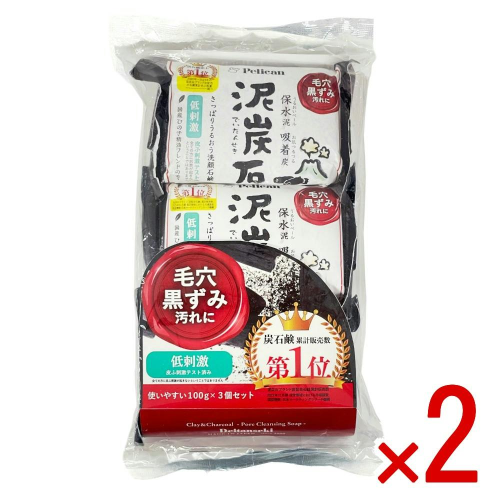 【2点まとめ買い】泥炭石 × 2点 【送料込み】 ＃4976631481371