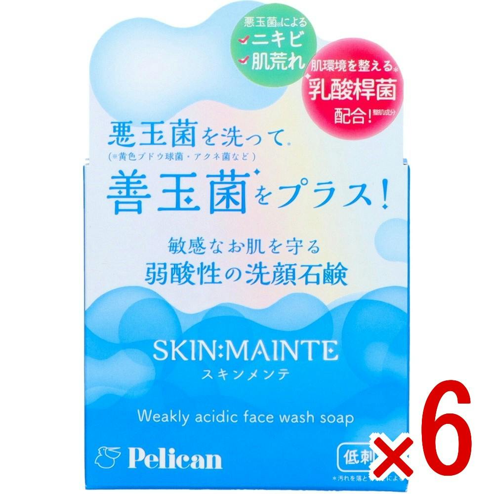 【ケース販売】SKIN：MAINTE洗顔石鹸80g × 6点 【送料込み】 ＃4976631481777