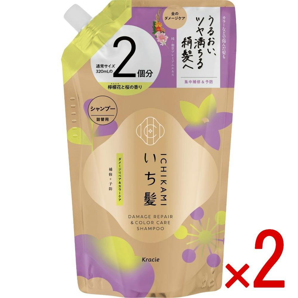 【2点まとめ買い】いち髪 ダメージリペア＆カラーケア シャンプー 詰替用2回分 × 2点 【送料込み】 ＃4901417724052
