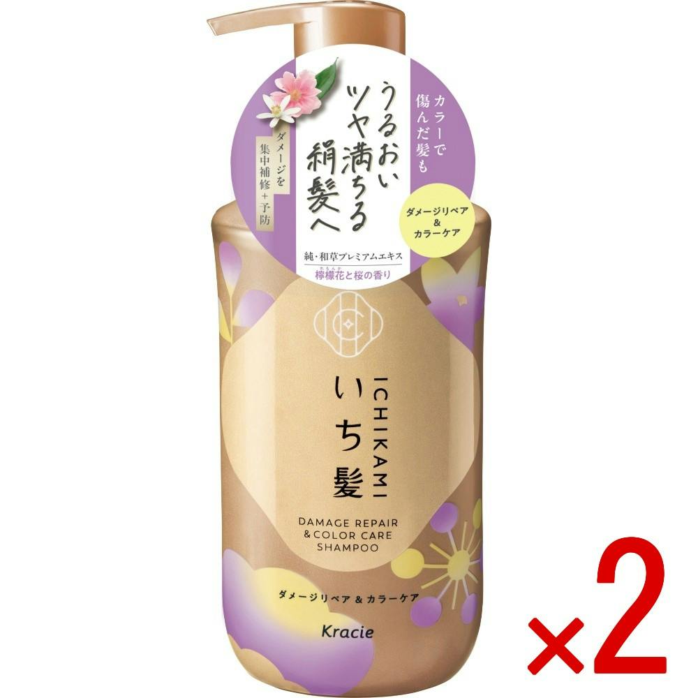 【2点まとめ買い】いち髪 ダメージリペア＆カラーケア シャンプー ポンプ × 2点 【送料込み】 ＃4901417723857