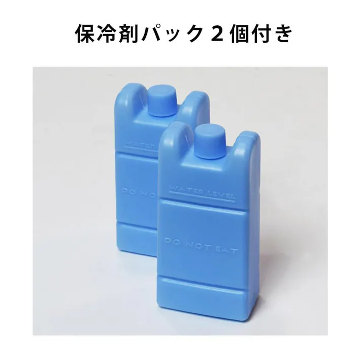 冷風扇 テクノイオン搭載 消臭 除菌 抗菌加工 オートルーバー リモコン タイマー 3.2L 冷風機 冷風扇風機 扇風機 ファン マイナスイオン シンプル 涼しい 冷風 自然風 おやすみ風 リビング 寝室 子ども部屋 TEKNOS テクノス TCI-008