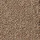 【ケース単位】サンゲツ タイルカーペット NT-350 無地柄 1ケース 20枚入 50×50 NT350 シリーズ 50cm角 正方形 制電 耐候 ペット 無地 パネルカーペット NT-353 NT353 ブラウン