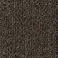 【ケース単位】サンゲツ タイルカーペット NT-350 無地柄 1ケース 20枚入 50×50 NT350 シリーズ 50cm角 正方形 制電 耐候 ペット 無地 パネルカーペット NT-342 NT342 ブラウン