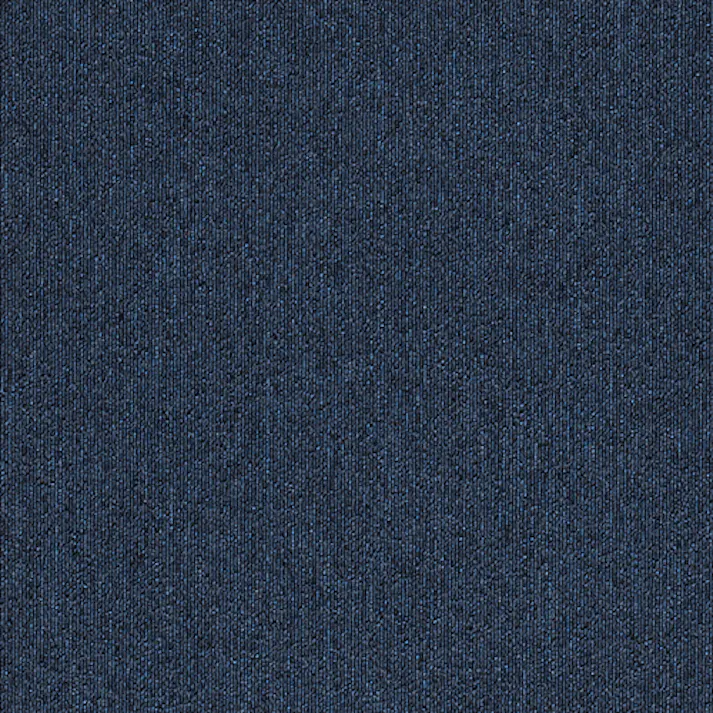 【ケース単位】サンゲツ のりつき タイルカーペット NT-350S 1ケース 20枚入 50×50 NT350 シリーズ 50cm角 正方形 制電 耐候 ペット 無地 ライン ボーダー ストライプ パネルカーペット NT-356S NT356S ブルー