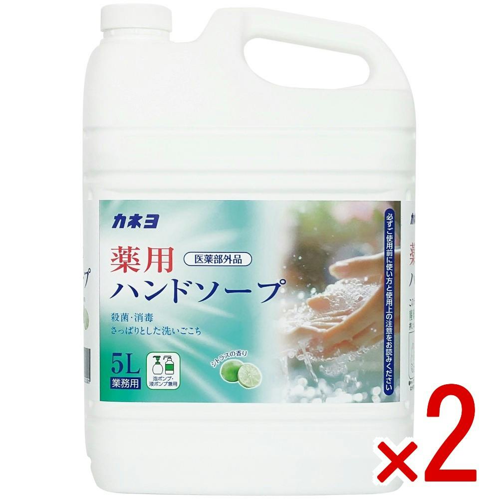 【2点まとめ買い】薬用ハンドソープ × 2点　 【送料込み】 ＃4901329500201