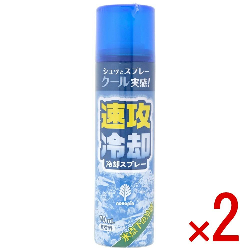 【2点まとめ買い】速攻冷却 冷却スプレー × 2点　 【送料込み】 ＃4971902927237