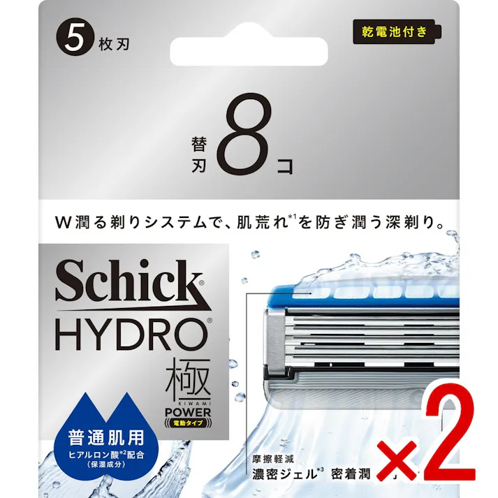 【2点まとめ買い】シック ハイドロ極パワー 普通肌 替刃 × 2点 【送料込み】 #4891228321345