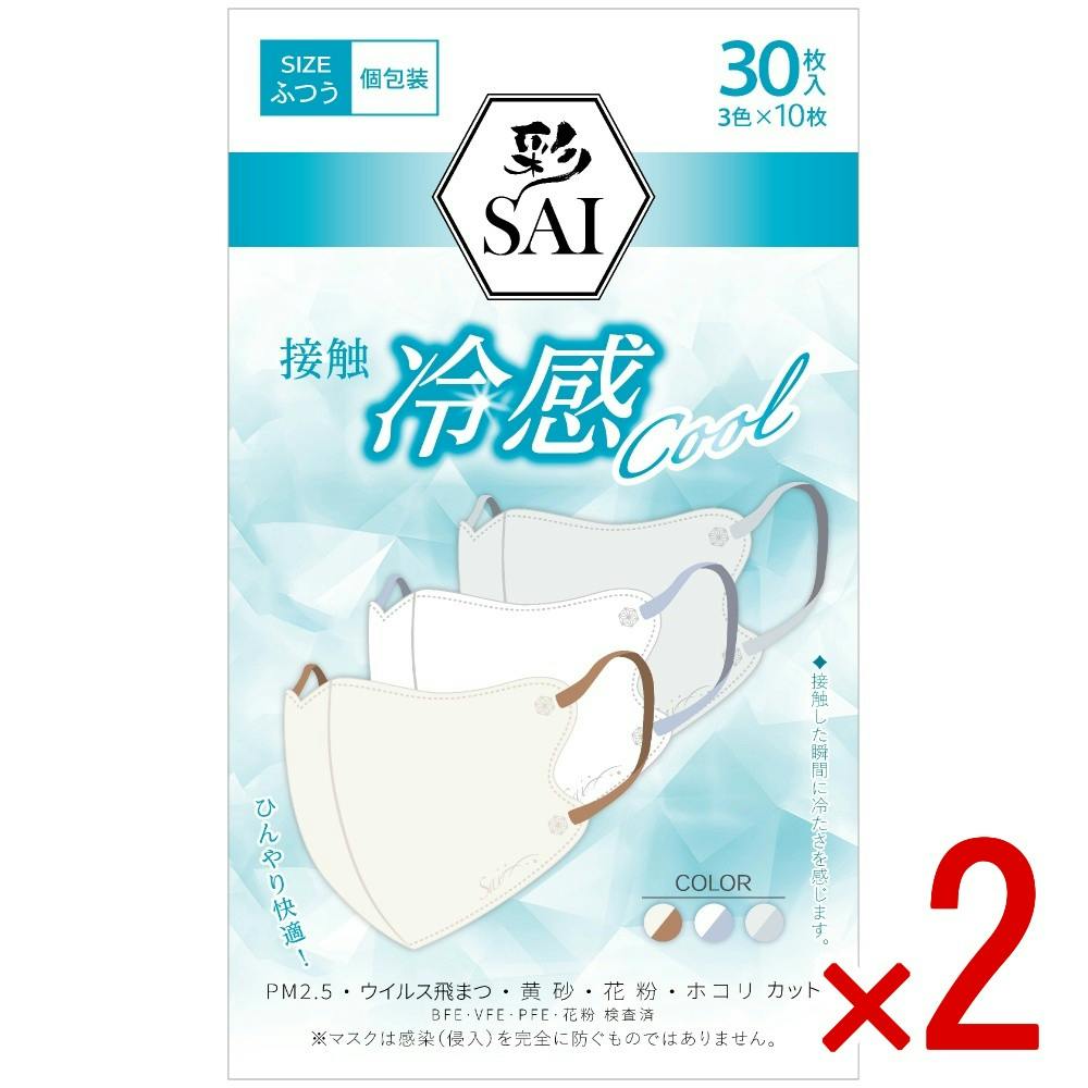 【2点まとめ買い】彩立体冷感マスク ふつう × 2点　 【送料込み】 ＃4570084525608
