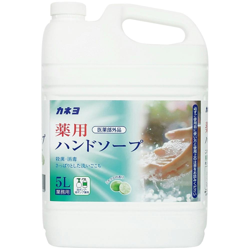 薬用ハンドソープ × 1点　 【送料込み】 ＃4901329500201