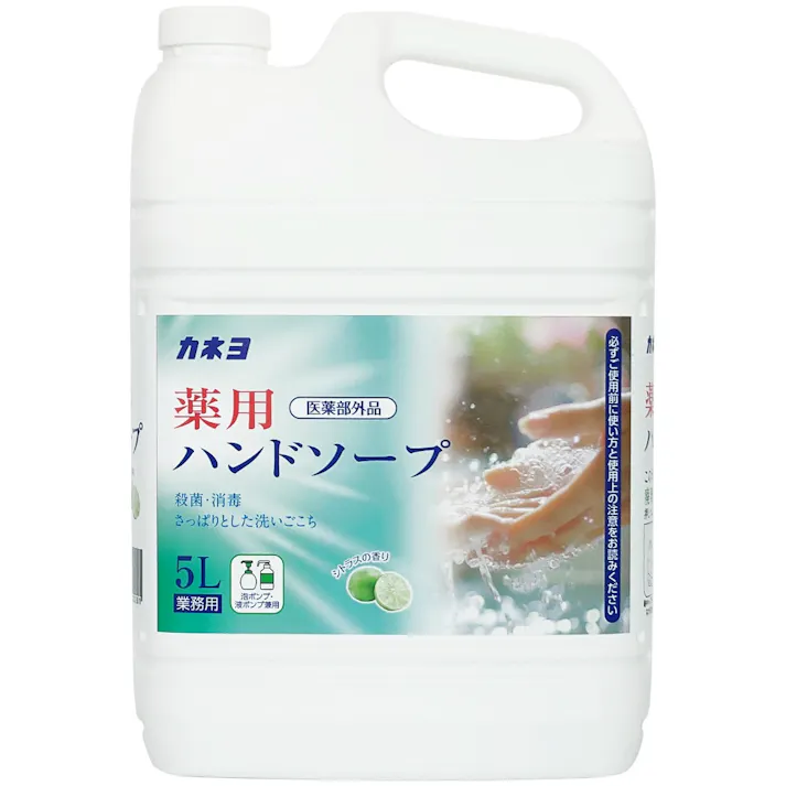 薬用ハンドソープ × 1点 【送料込み】 #4901329500201