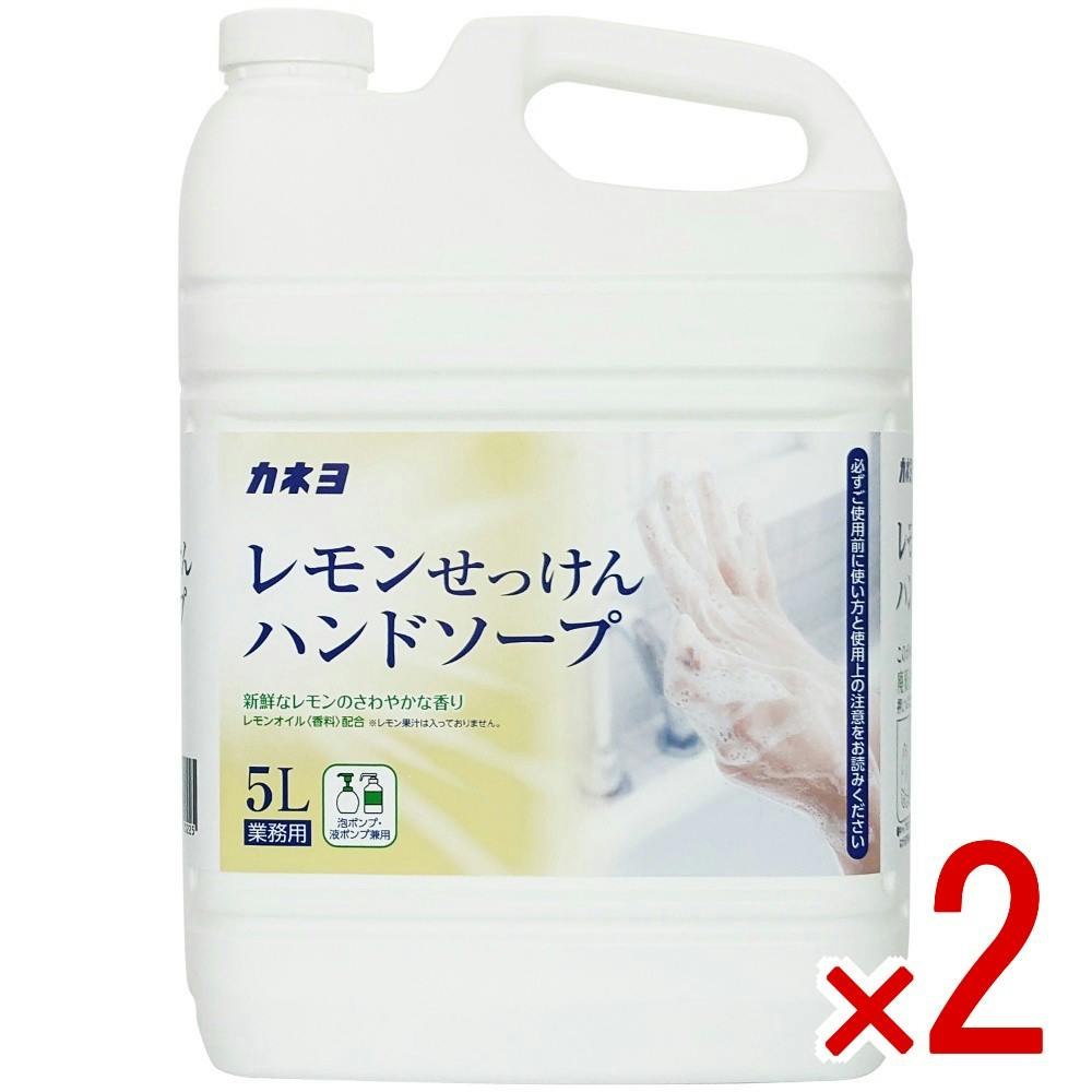 【2点まとめ買い】カネヨレモンせっけんハンドソープ × 2点　 【送料込み】 ＃4901329500225