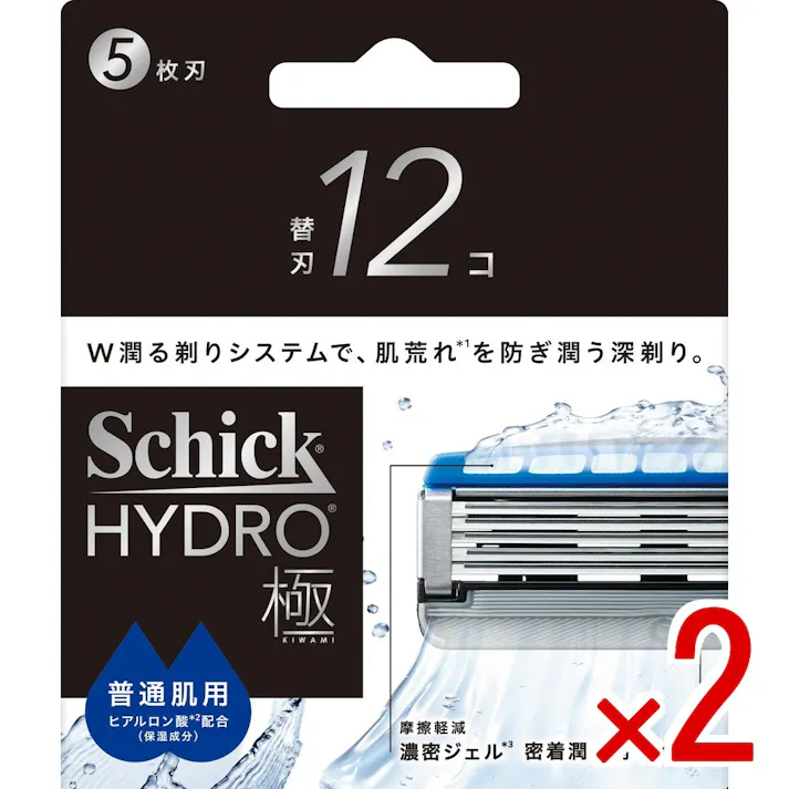 【2点まとめ買い】シック ハイドロ極 普通肌 替刃 × 2点 【送料込み】 #4891228320560
