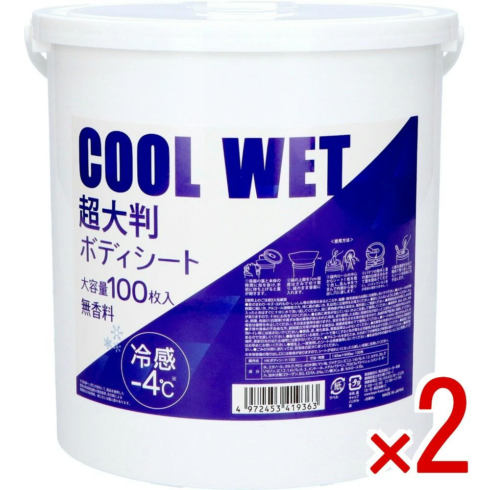 2点まとめ買い】クールウェット超大判ボディシート × 2点 【送料込み