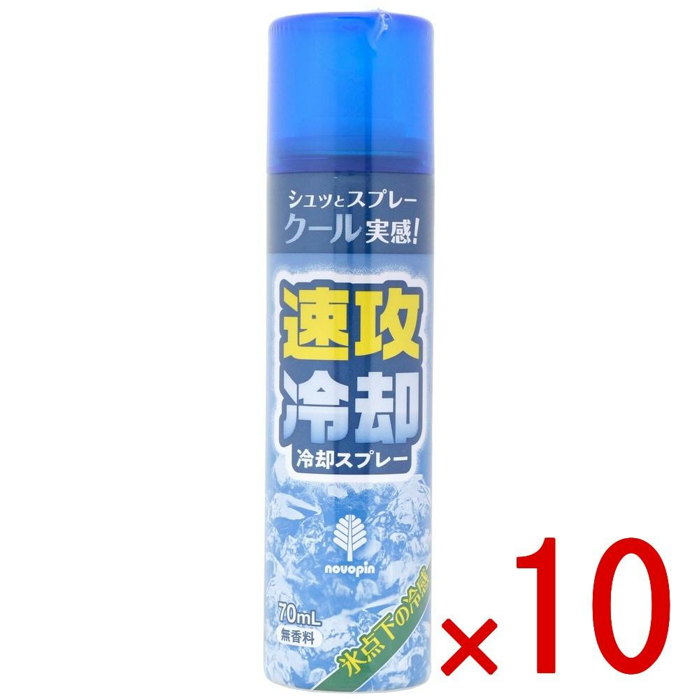 【ケース販売】速攻冷却 冷却スプレー × 10点　 【送料込み】 ＃4971902927237