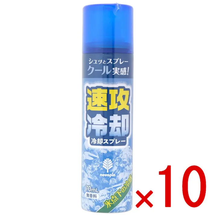 【ケース販売】速攻冷却 冷却スプレー × 10点 【送料込み】 #4971902927237
