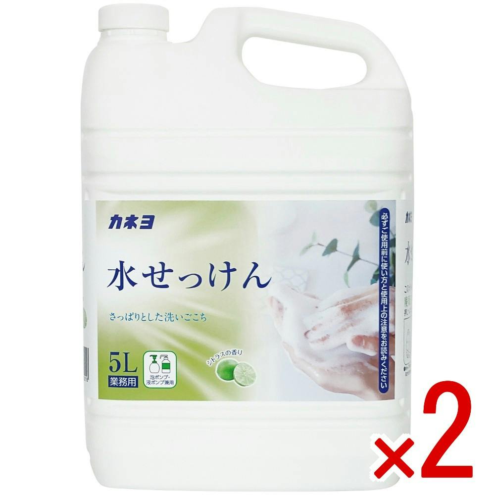 【2点まとめ買い】カネヨ水せっけん × 2点　 【送料込み】 ＃4901329500218