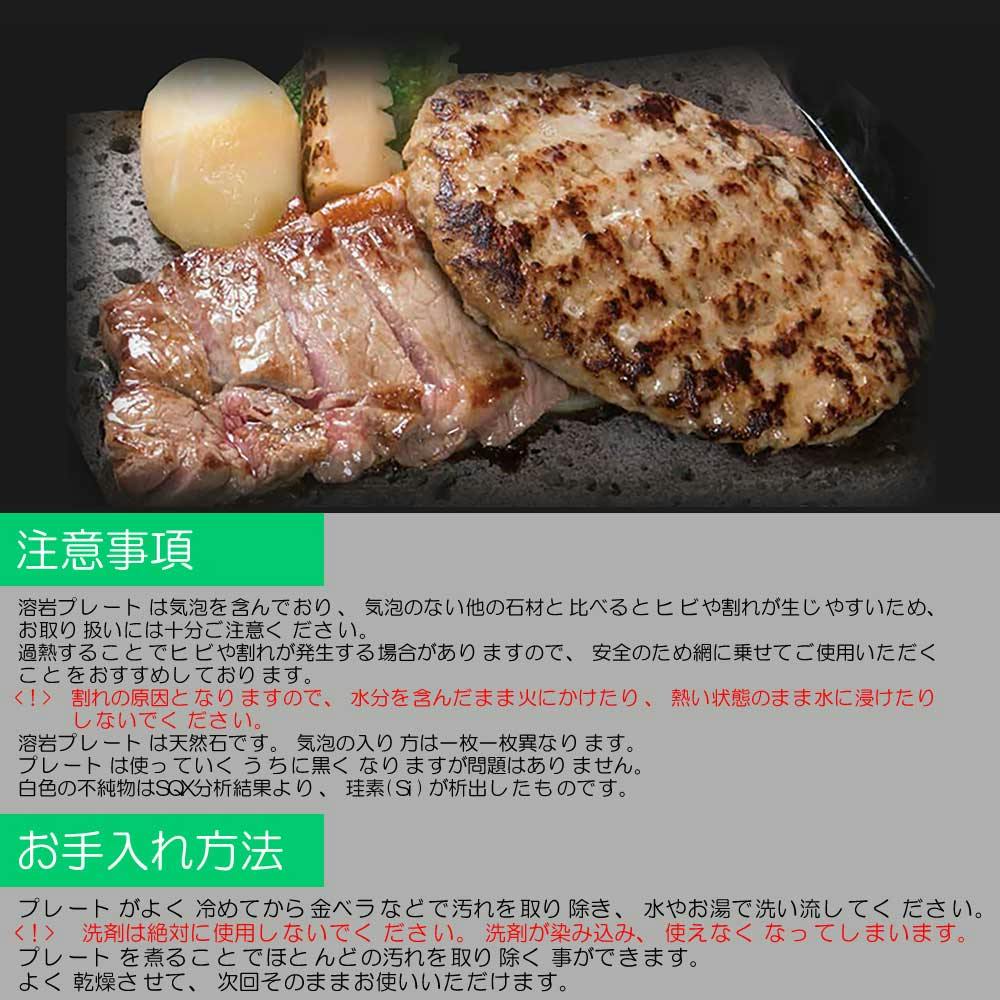 TAIKOH 溶岩プレート 30×30×2cm 10枚 焼肉 溶岩焼 溶岩板 キャンプ
