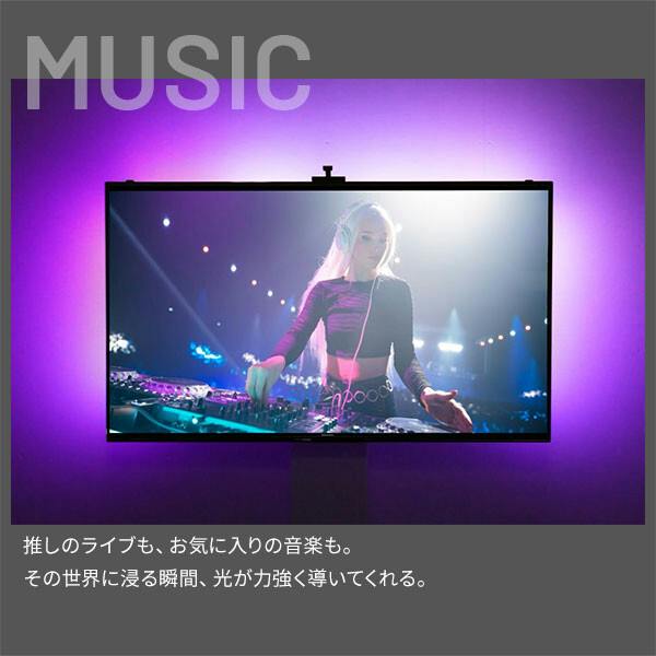 シンクロビジュアルライト 【Lサイズ】 テレビと光が連動する