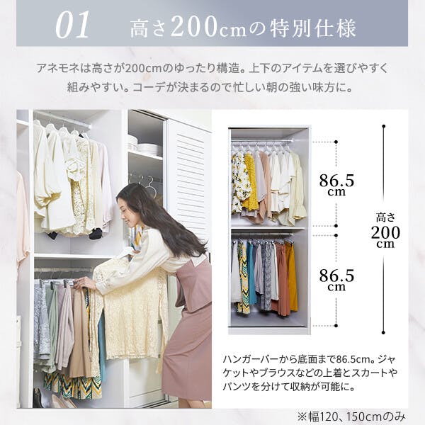 幅120cm・1点】ルーバー引き戸 大容量クローゼット 〔アネモネ〕 ／色