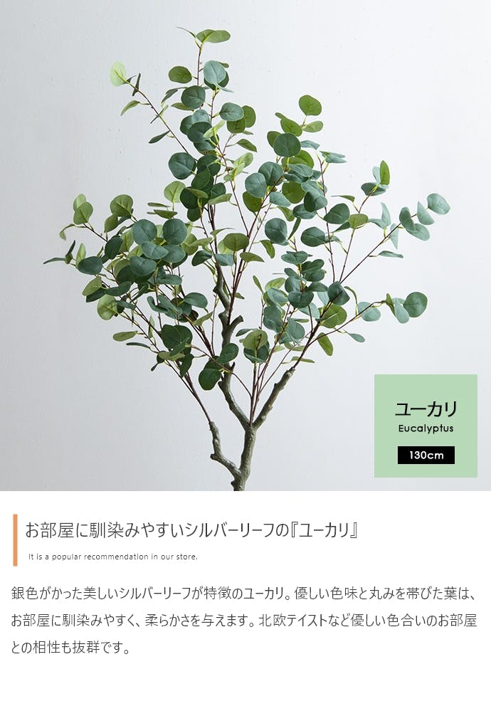 高さ130cm】Nature 光触媒人工観葉植物 ユーカリ／色：グリーン 【送料