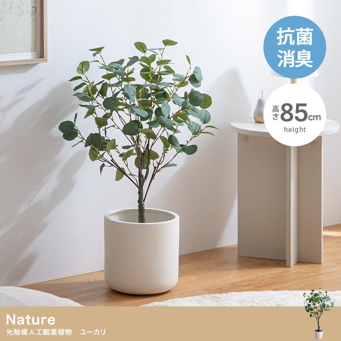 高さ85cm】Nature 光触媒人工観葉植物 ユーカリ／色：グリーン 【送料
