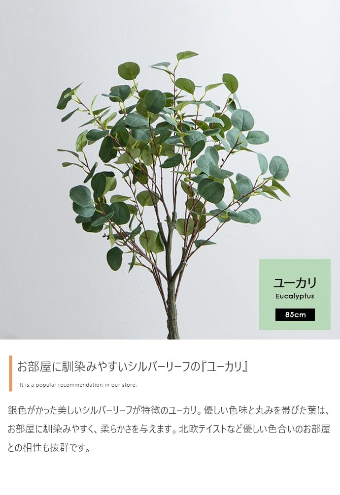高さ85cm】Nature 光触媒人工観葉植物 ユーカリ／色：グリーン 【送料