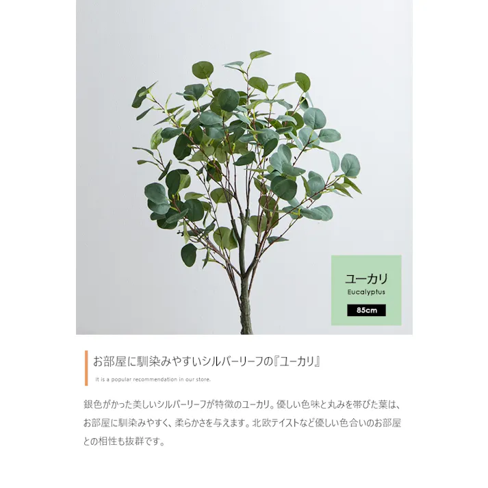 【高さ85cm】Nature 光触媒人工観葉植物 ユーカリ/色:グリーン 【送料込み】 #iina
