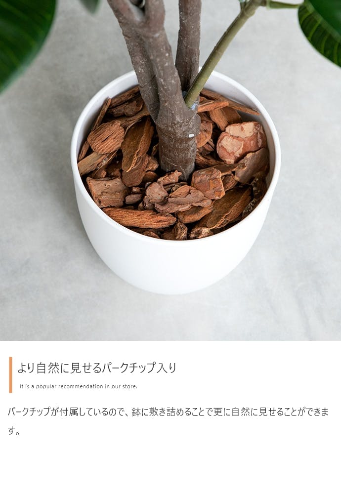 高さ85cm】Nature 光触媒人工観葉植物 ユーカリ／色：グリーン 【送料