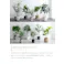 【高さ85cm】Nature 光触媒人工観葉植物 ユーカリ/色:グリーン 【送料込み】 #iina