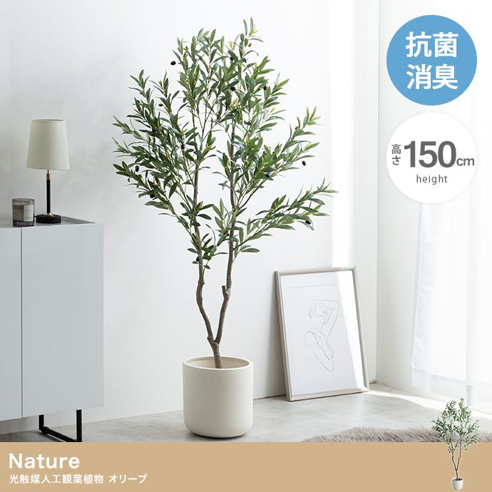 高さ150cm】Nature 光触媒人工観葉植物 オリーブ／色：グリーン 【送料