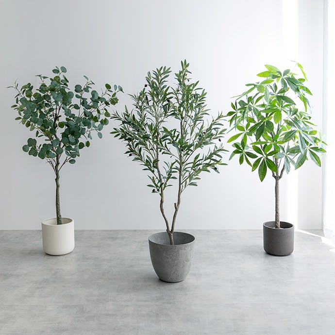 高さ150cm】Nature 光触媒人工観葉植物 オリーブ／色：グリーン 【送料