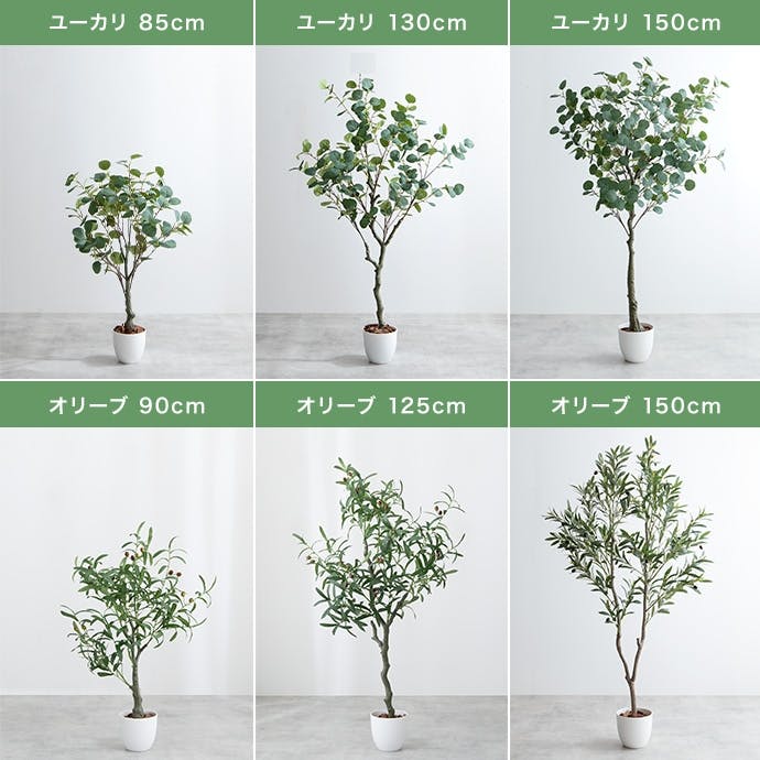 高さ150cm】Nature 光触媒人工観葉植物 オリーブ／色：グリーン 【送料
