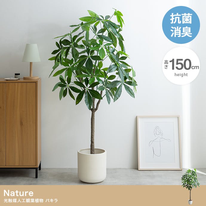 【光触媒/抗菌防臭】人工観葉植物 室内グリーン パキラ 高さ120cm 高さ150cm】Nature 光触媒人工観葉植物 パキラ／色：グリーン 【送料
