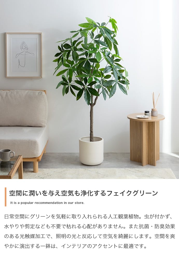 高さ150cm】Nature 光触媒人工観葉植物 パキラ／色：グリーン 【送料