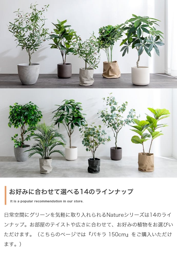 高さ150cm】Nature 光触媒人工観葉植物 パキラ／色：グリーン 【送料