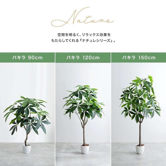 高さ150cm】Nature 光触媒人工観葉植物 パキラ／色：グリーン 【送料