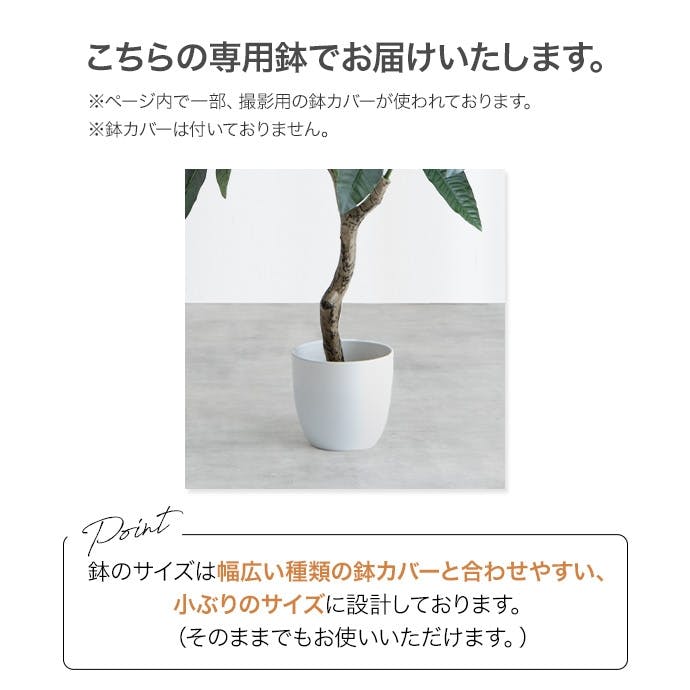 高さ150cm】Nature 光触媒人工観葉植物 パキラ／色：グリーン 【送料
