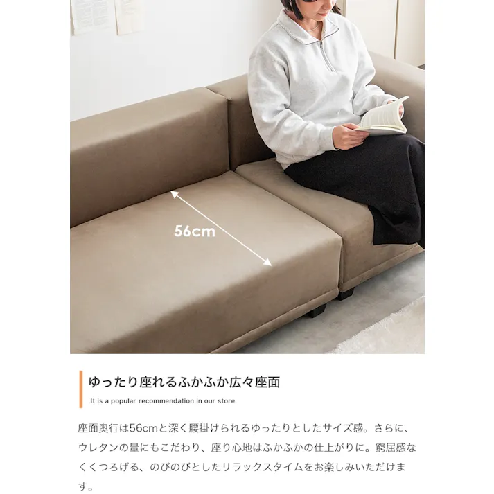 【単品】Celina 2人掛けソファ/色:グレー ベロア素材 低め座面 ロー設計 【送料込み】 #iina