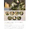 【高さ60cm】Moi クリスマスツリー オーナメントセット/色:グリーン オーナメントセット コンパクトサイズ クリスマスムード クリア素材 トレンド感 ライト 【送料込み】 #iina