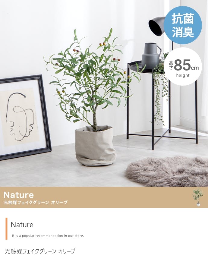 高さ85cm】Nature 光触媒人工観葉植物 オリーブ／色：グリーン 【送料