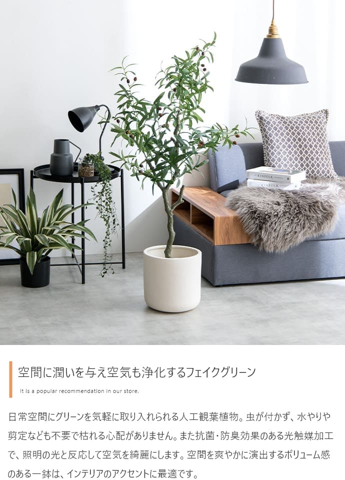 高さ85cm】Nature 光触媒人工観葉植物 オリーブ／色：グリーン 【送料