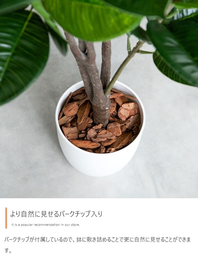 高さ85cm】Nature 光触媒人工観葉植物 オリーブ／色：グリーン 【送料
