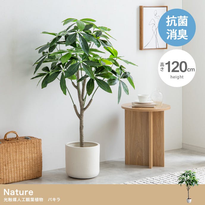 【光触媒/抗菌防臭】人工観葉植物 室内グリーン パキラ 高さ120cm 高さ120cm】Nature 光触媒人工観葉植物 パキラ／色：グリーン 【送料