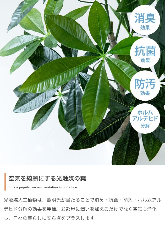 高さ120cm】Nature 光触媒人工観葉植物 パキラ／色：グリーン 【送料