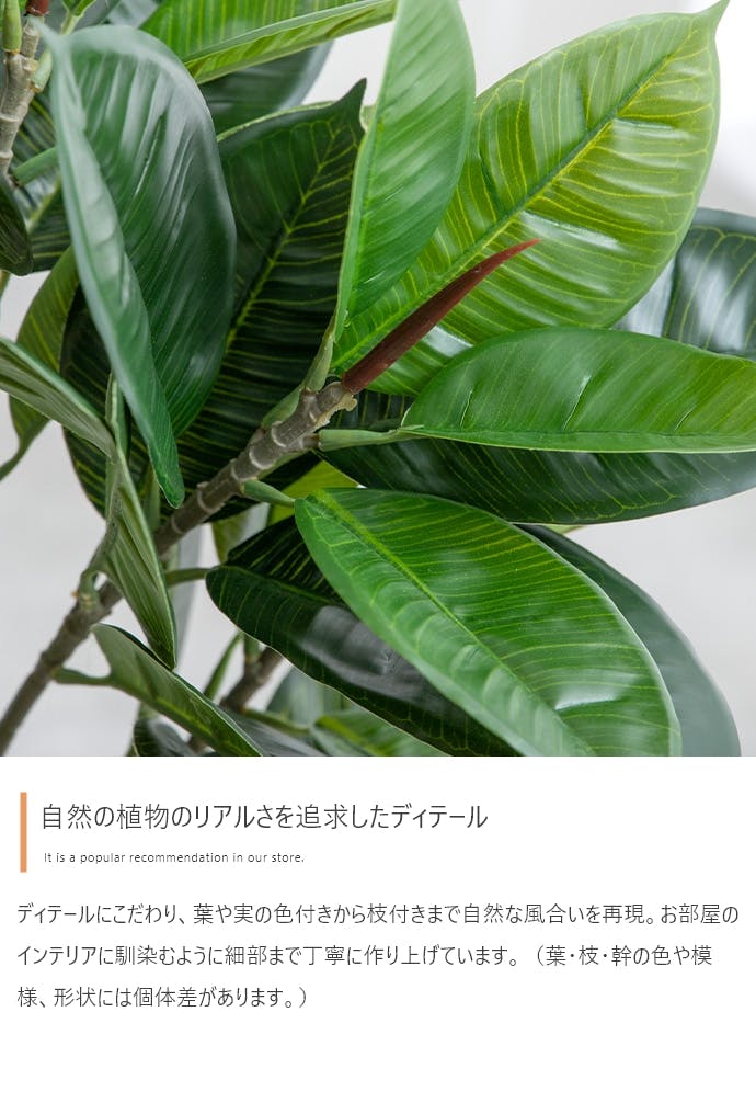 高さ120cm】Nature 光触媒人工観葉植物 パキラ／色：グリーン 【送料
