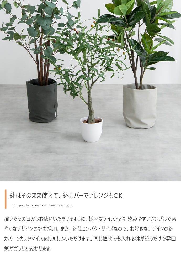 高さ120cm】Nature 光触媒人工観葉植物 パキラ／色：グリーン 【送料