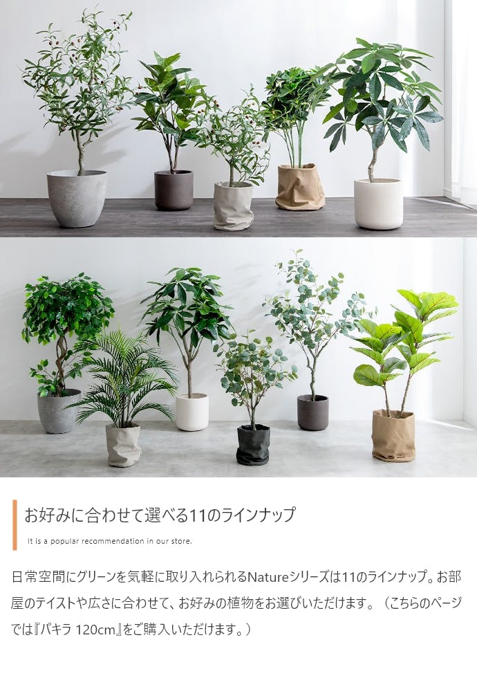 高さ120cm】Nature 光触媒人工観葉植物 パキラ／色：グリーン 【送料